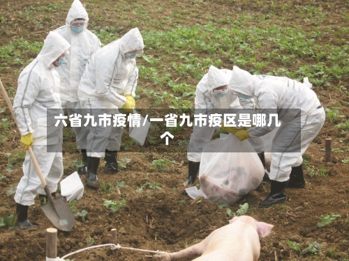 六省九市疫情/一省九市疫区是哪几个