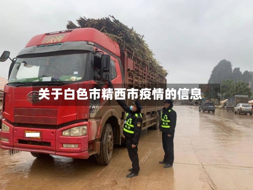 关于白色市精西市疫情的信息