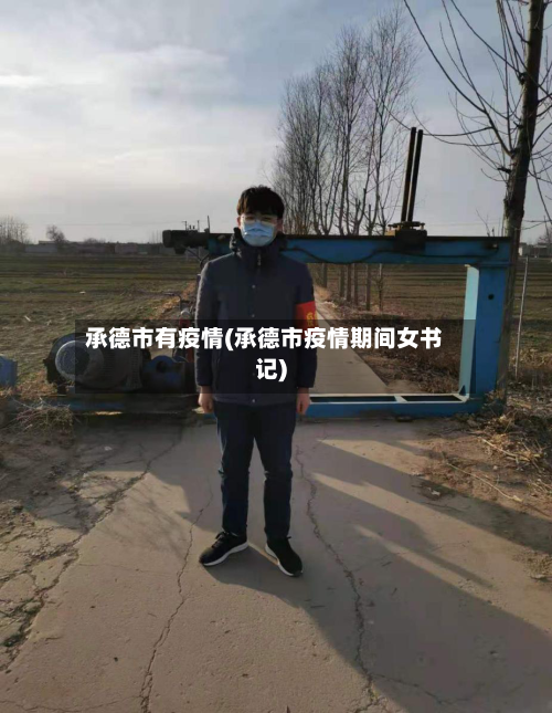 承德市有疫情(承德市疫情期间女书记)-第2张图片