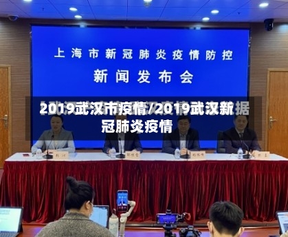 2019武汉市疫情/2019武汉新冠肺炎疫情-第3张图片