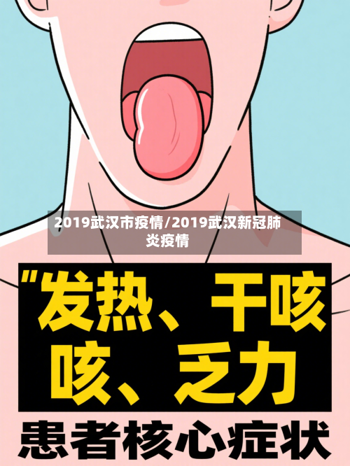 2019武汉市疫情/2019武汉新冠肺炎疫情