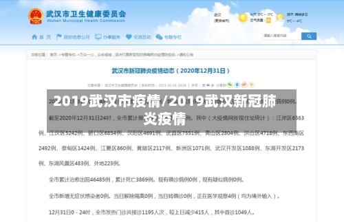 2019武汉市疫情/2019武汉新冠肺炎疫情-第2张图片