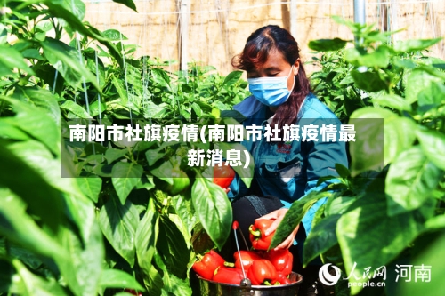 南阳市社旗疫情(南阳市社旗疫情最新消息)