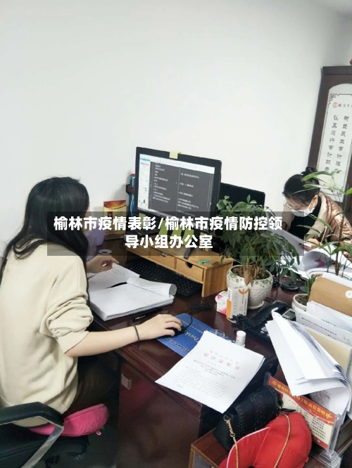 榆林市疫情表彰/榆林市疫情防控领导小组办公室-第3张图片