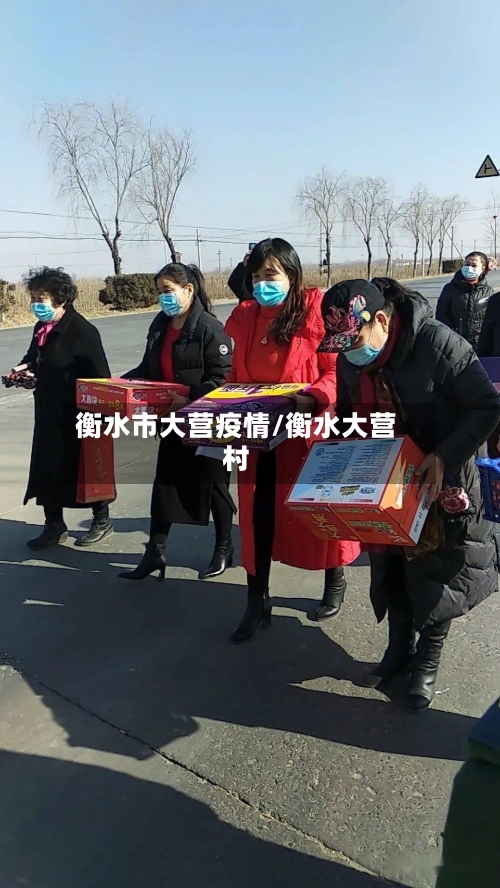 衡水市大营疫情/衡水大营村-第2张图片