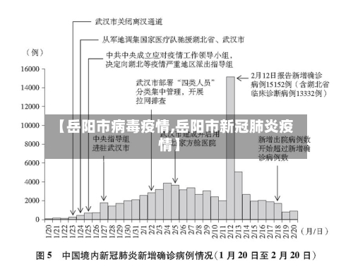 【岳阳市病毒疫情,岳阳市新冠肺炎疫情】