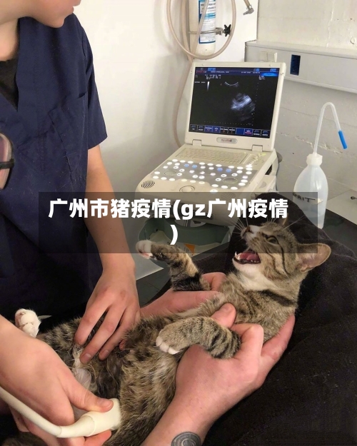 广州市猪疫情(gz广州疫情)-第2张图片