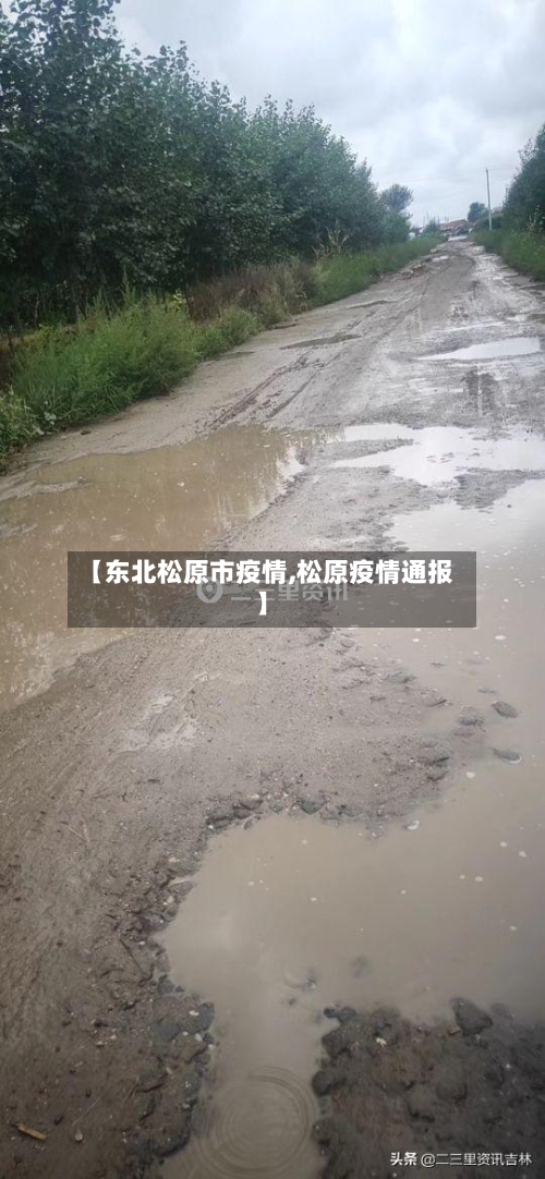 【东北松原市疫情,松原疫情通报】