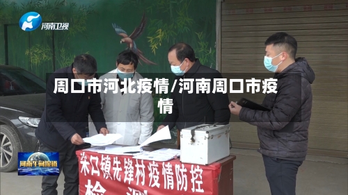 周口市河北疫情/河南周口市疫情-第3张图片
