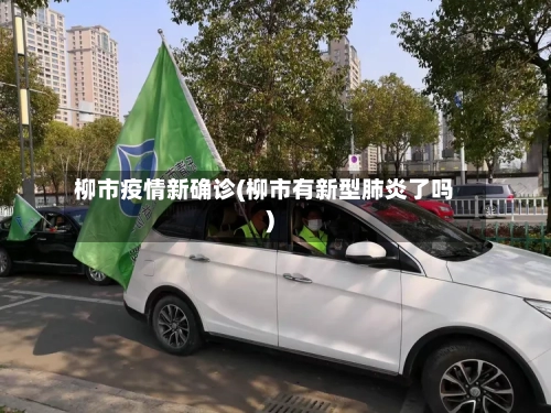 柳市疫情新确诊(柳市有新型肺炎了吗)-第3张图片