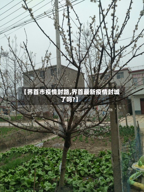 【界首市疫情封路,界首最新疫情封城了吗?】