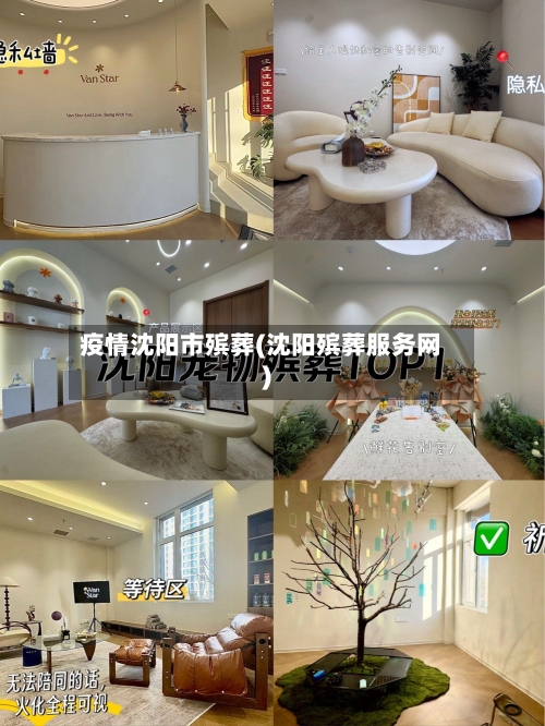 疫情沈阳市殡葬(沈阳殡葬服务网)-第3张图片