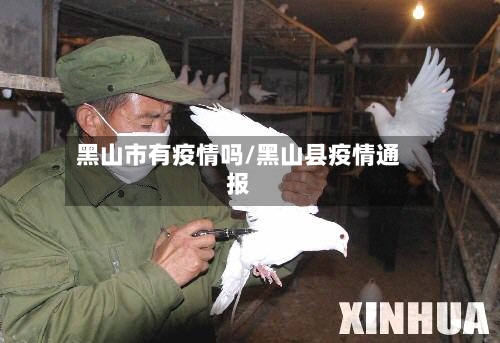 黑山市有疫情吗/黑山县疫情通报-第2张图片
