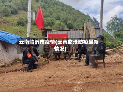 云南临沂市疫情(云南临沧防疫最新情况)-第2张图片