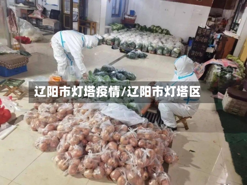 辽阳市灯塔疫情/辽阳市灯塔区