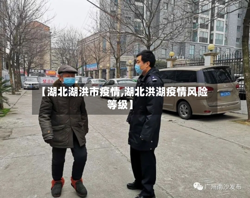 【湖北湖洪市疫情,湖北洪湖疫情风险等级】