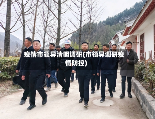 疫情市领导清明调研(市领导调研疫情防控)-第3张图片