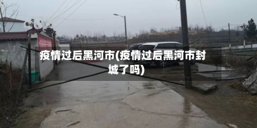 疫情过后黑河市(疫情过后黑河市封城了吗)