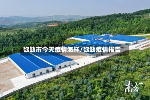 弥勒市今天疫情怎样/弥勒疫情报告-第2张图片