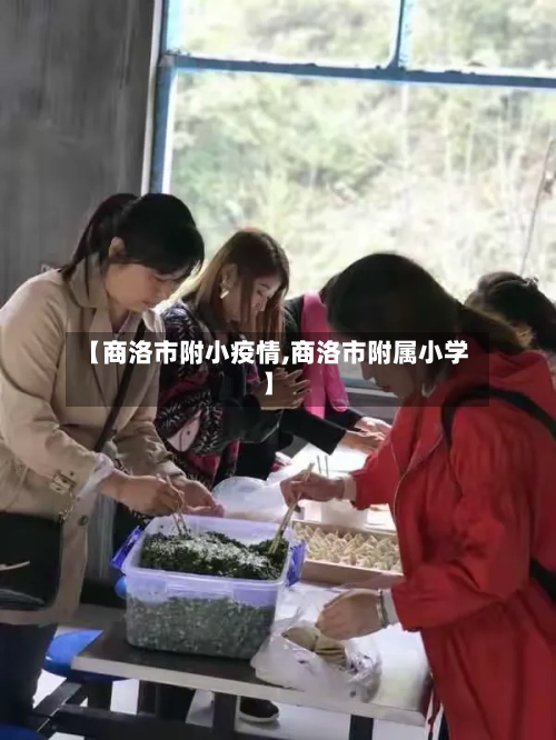 【商洛市附小疫情,商洛市附属小学】