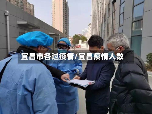 宜昌市各过疫情/宜昌疫情人数