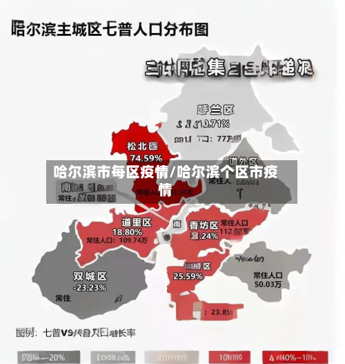 哈尔滨市每区疫情/哈尔滨个区市疫情