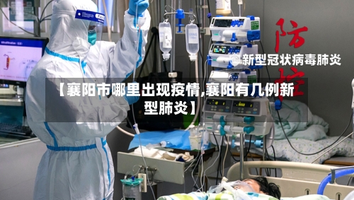 【襄阳市哪里出现疫情,襄阳有几例新型肺炎】-第2张图片