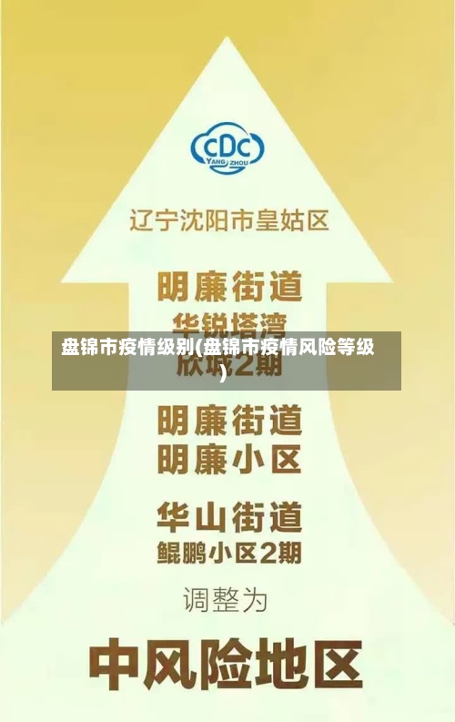 盘锦市疫情级别(盘锦市疫情风险等级)
