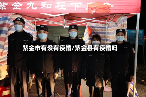 紫金市有没有疫情/紫金县有疫情吗-第3张图片