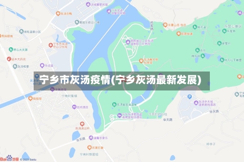 宁乡市灰汤疫情(宁乡灰汤最新发展)