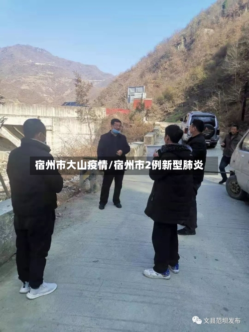 宿州市大山疫情/宿州市2例新型肺炎-第2张图片