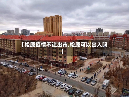 【松原疫情不让出市,松原可以出入吗】-第2张图片