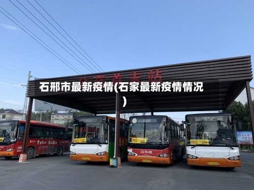 石邢市最新疫情(石家最新疫情情况)-第2张图片