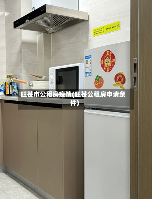 旺苍市公租房疫情(旺苍公租房申请条件)-第3张图片