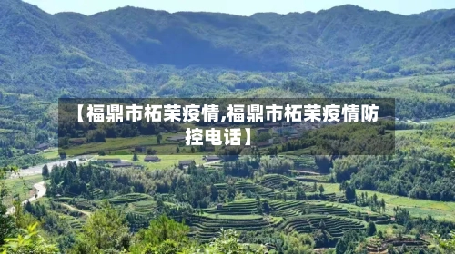 【福鼎市柘荣疫情,福鼎市柘荣疫情防控电话】