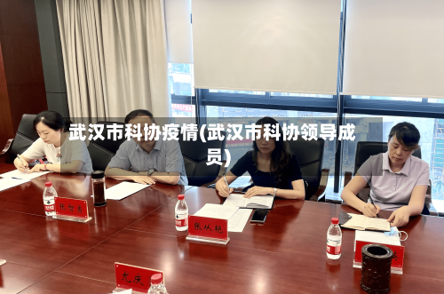 武汉市科协疫情(武汉市科协领导成员)