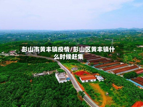 彭山市黄丰镇疫情/彭山区黄丰镇什么时候赶集