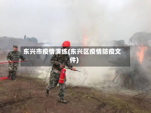 东兴市疫情演练(东兴区疫情防疫文件)