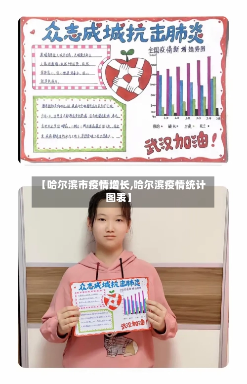 【哈尔滨市疫情增长,哈尔滨疫情统计图表】-第3张图片