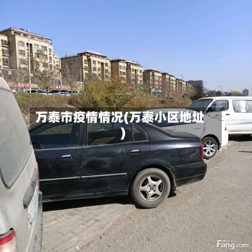 万泰市疫情情况(万泰小区地址)