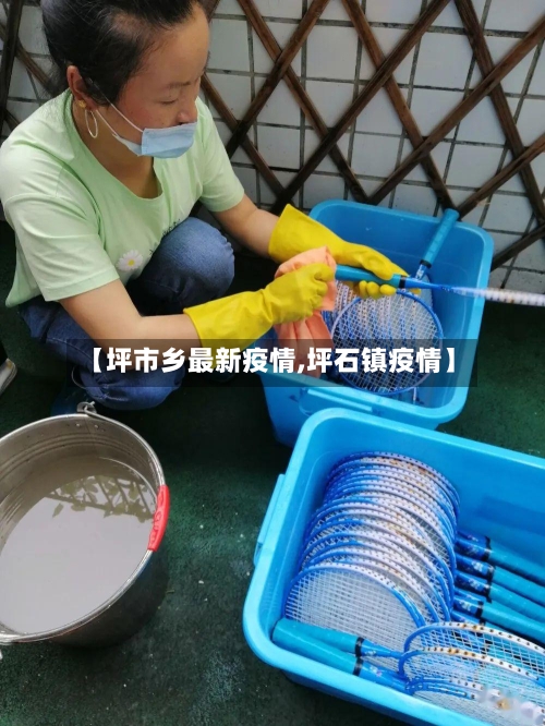 【坪市乡最新疫情,坪石镇疫情】