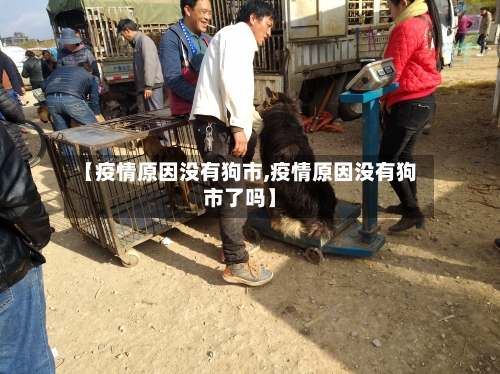 【疫情原因没有狗市,疫情原因没有狗市了吗】-第2张图片