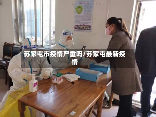 苏家屯市疫情严重吗/苏家屯最新疫情-第2张图片