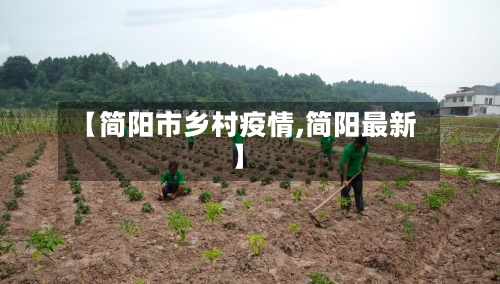 【简阳市乡村疫情,简阳最新】