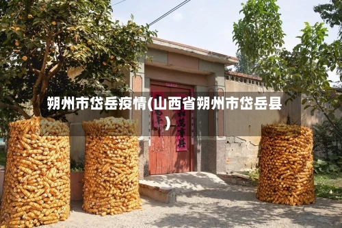 朔州市岱岳疫情(山西省朔州市岱岳县)-第3张图片