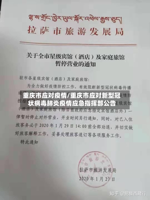重庆市应对疫情/重庆市应对新型冠状病毒肺炎疫情应急指挥部公告-第3张图片