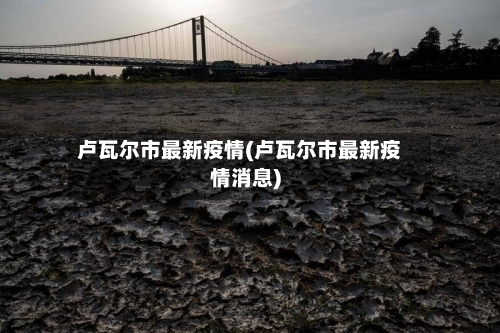 卢瓦尔市最新疫情(卢瓦尔市最新疫情消息)