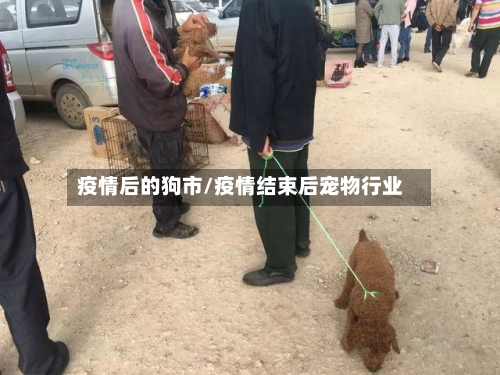 疫情后的狗市/疫情结束后宠物行业