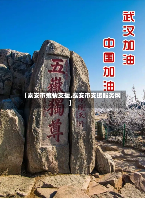 【泰安市疫情支援,泰安市支援服务网】