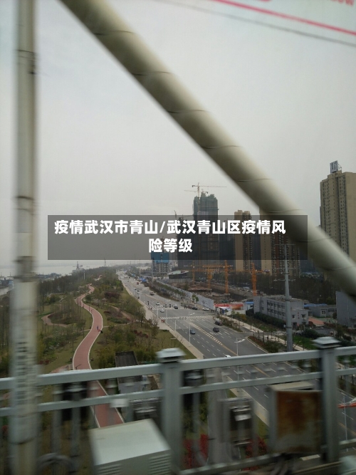 疫情武汉市青山/武汉青山区疫情风险等级